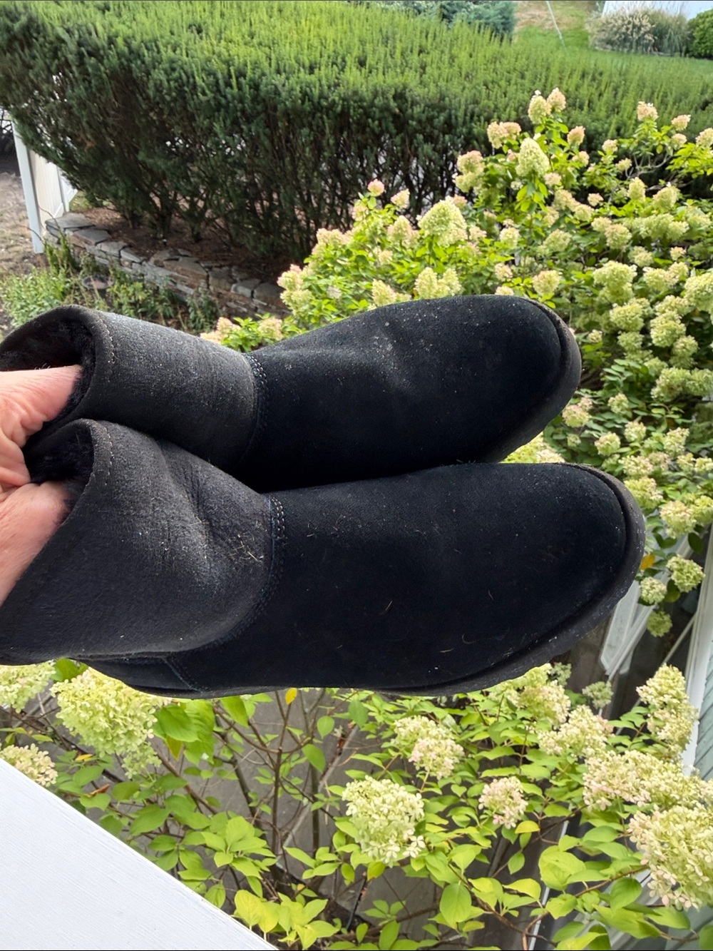 UGG Men's Black Suede Ankle Boots